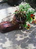 IMG_20140509_094118
