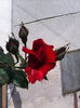 IMG_20140509_094047