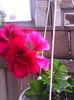 IMG_20140509_093940