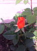 IMG_20140509_093844