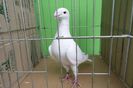 SAM_0948
