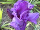 P1200843