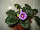 DSC08349