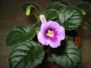 DSC08352