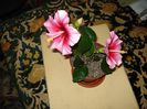 DSC08340