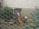 DSCN4038