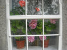 Picture 2922