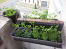 20140510_142941