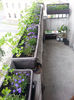 20140510_143027