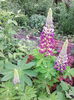 IMG_20140510_104645