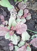 IMG_20140510_104808