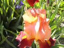 P1210017