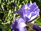 P1210046
