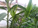 IMG_20140510_190410