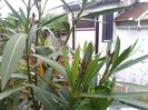 IMG_20140510_190403