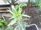 IMG_20140510_190353
