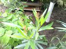 IMG_20140510_190344
