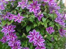 DSC00267