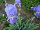 DSC00270