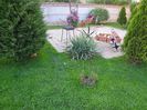 DSC00301