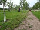 DSC00284