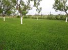 DSC00285