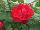 SAM_4188