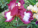DSCN1909_011