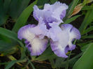 DSCN1919_021