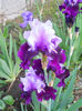 DSCN1920_022