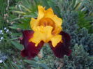 DSCN1926_028