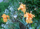 DSCN1927_029