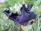 DSCN1928_030