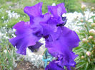 DSCN1930_032