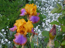 DSCN1933_035