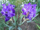 DSCN1937_039