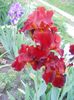 DSCN1939_041