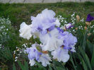 DSCN1940_042