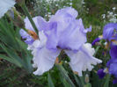 DSCN1941_043
