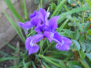 DSCN1947_049