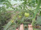 DSCN2735