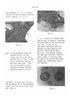 Pasquali-Service-Manual_Page_47