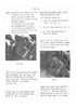 Pasquali-Service-Manual_Page_49