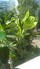IMAG0674