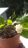 IMAG0679