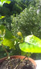 IMAG0680