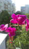 IMAG0682
