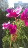 IMAG0683
