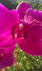 IMAG0684