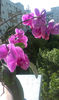 IMAG0688